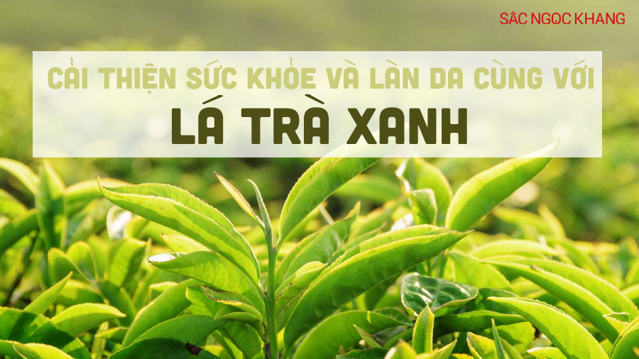 Lá trà xanh