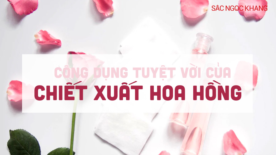 Chiết xuất hoa hồng