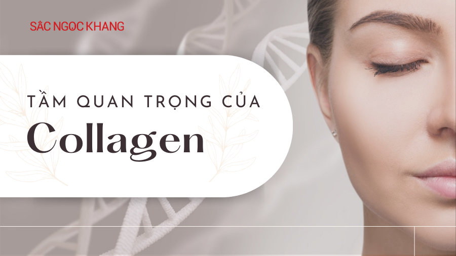 Collagen là gì? Tầm quan trọng của Collagen đối với cơ thể