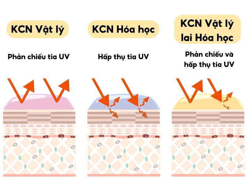 Nên Sử Dụng Kem Chống Nắng Vật Lý Hay Hóa Học
