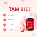 Viên Uống Collagen Dipeptide Mờ Nếp Nhăn - Dưỡng Ẩm Mịn Da Sắc Ngọc Khang hộp 60 viên - Ảnh 2