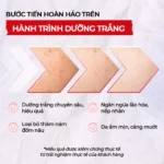 Serum Vitamin C Sắc Ngọc Khang 30ml - Tinh chất dưỡng trắng da diệu kỳ, mờ thâm nám, tàn nhang (tặng Sữa Dưỡng Thể 50g) - Ảnh 3
