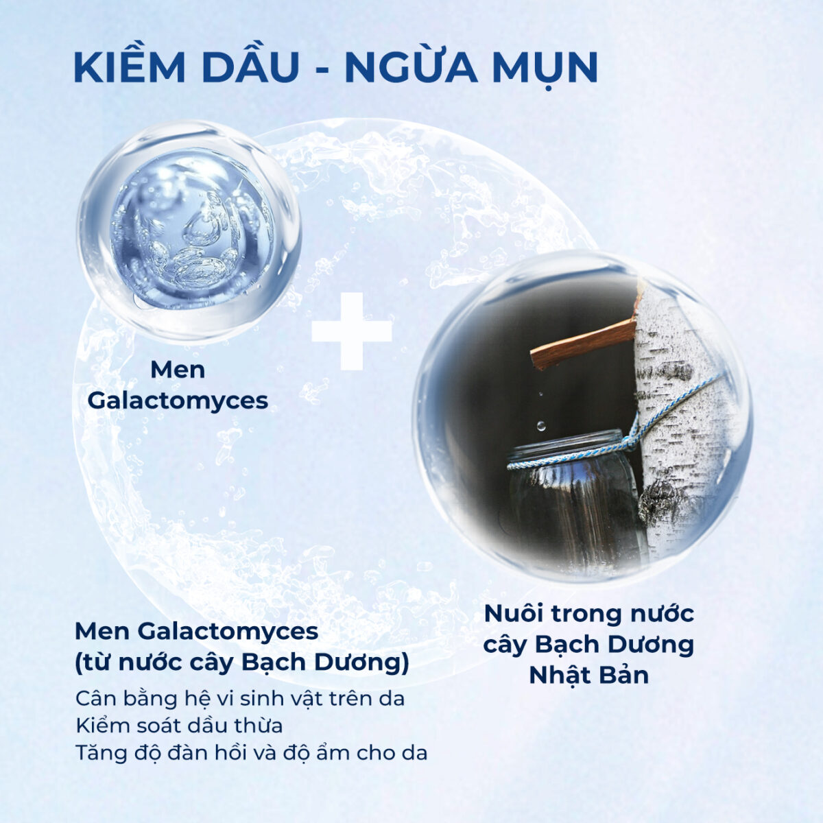 Xịt Khoáng Cấp Ẩm - Kiềm Dầu - Ngừa Mụn Sắc Ngọc Khang - Ảnh 5