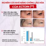 Serum Vitamin C Sắc Ngọc Khang 30ml - Tinh chất dưỡng trắng da diệu kỳ, mờ thâm nám, tàn nhang (tặng Sữa Dưỡng Thể 50g) - Ảnh 6
