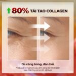 Combo 3 Hộp Viên Uống Vi Tảo Lục Sắc Ngọc Khang Đào Thải Nám 60 viên/hộp - Ảnh 7