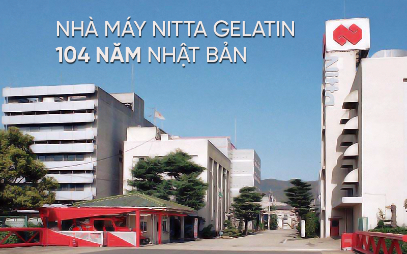 Nitta Gelatin