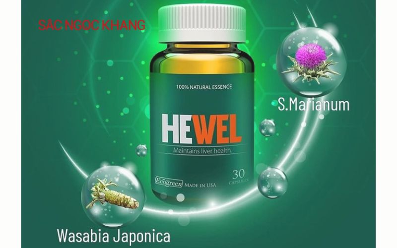 Thuốc hỗ trợ mát gan giải độc