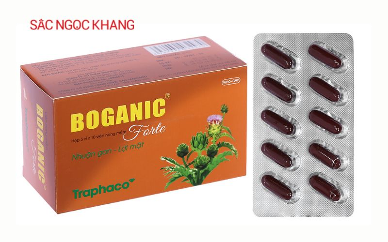 Thuốc hỗ trợ mát gan giải độc