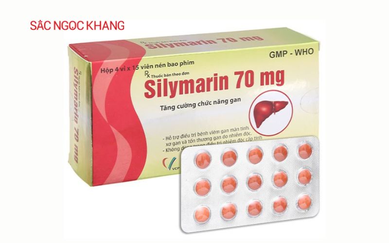 Thuốc hỗ trợ mát gan giải độc