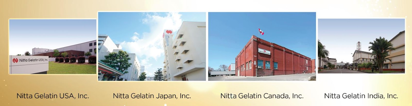 Nitta Gelatin