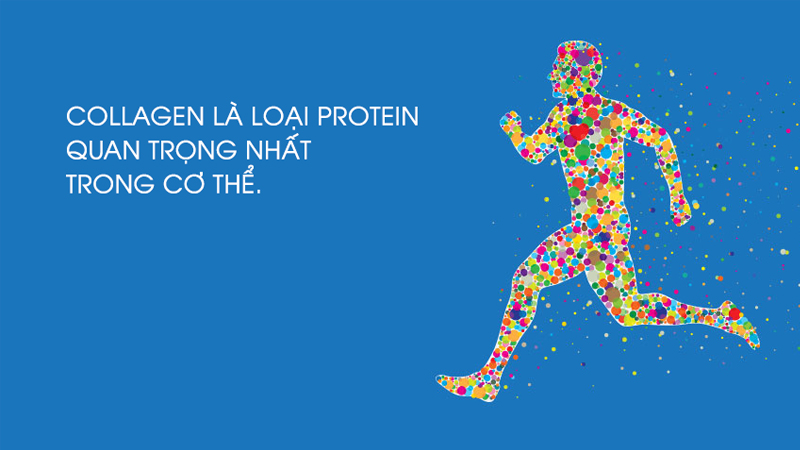 bổ sung collagen