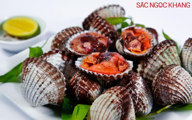 bầu ăn sò huyết được không bầu ăn sò huyết được không