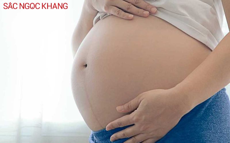 Sò huyết giúp mẹ bầu phòng chống tình trạng thiếu máu