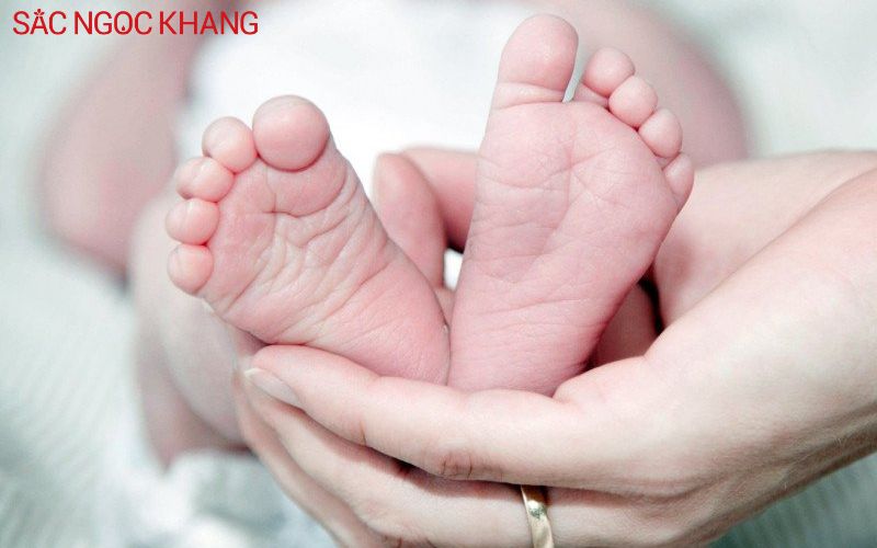 Sò huyết giúp giảm nguy cơ sinh non