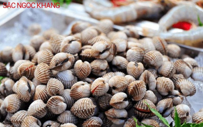 Nên lựa chọn sò huyết tươi ngon