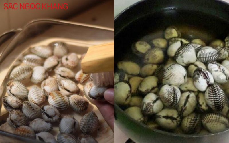 Làm sạch sò huyết một cách kỹ lưỡng