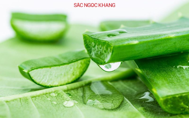 bôi nha đam lên mặt
