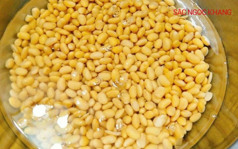 cách nấu sữa đậu nành