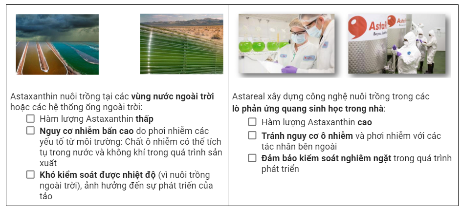 Astaxanthin tinh khiết từ Astareal