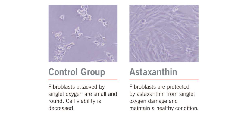 astaxanthin