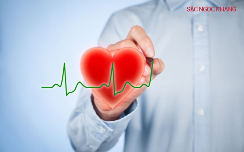 Chiết xuất hạt nho giúp bảo vệ các mạch máu, tăng cường lưu thông máu