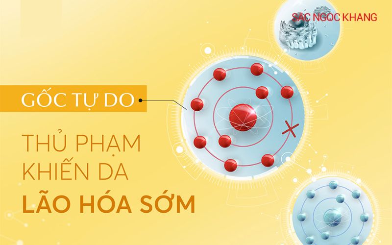 Chiết xuất hoa anh đào bảo vệ da khỏi gốc tự do