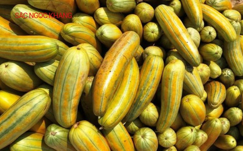 Có bầu ăn dưa gang được không