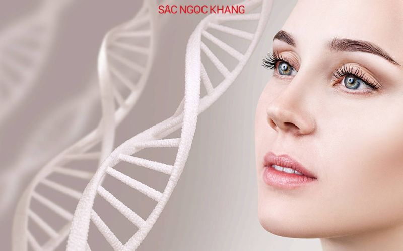 Collagen bôi mặt