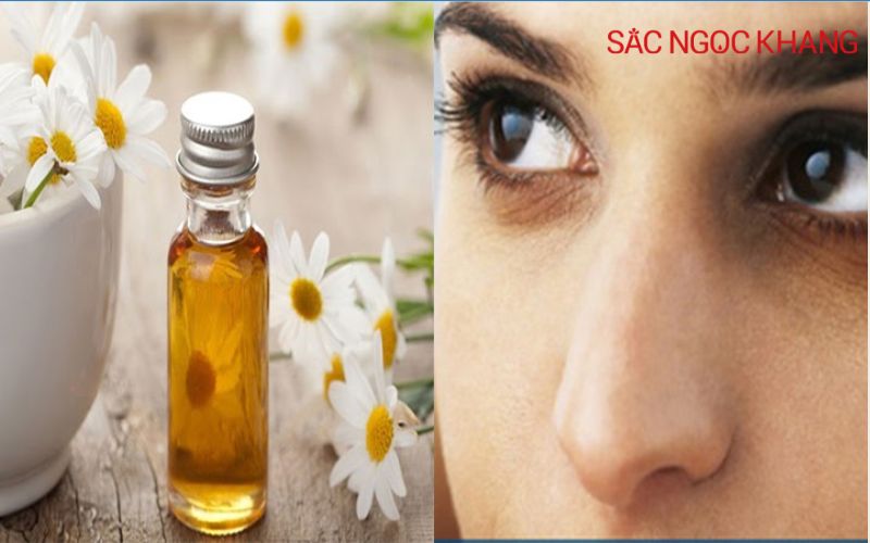 cúc la mã có tác dụng gì