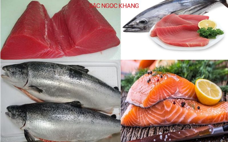 Các loại cá béo