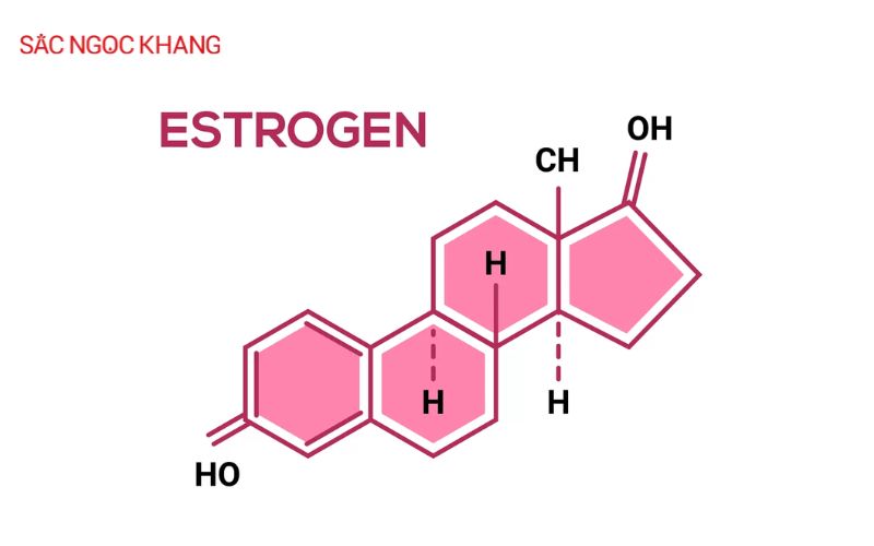 estrogen