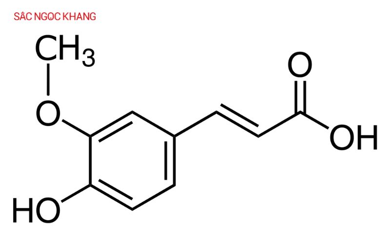 Ferulic Acid là một chất chống oxy hóa mạnh mẽ