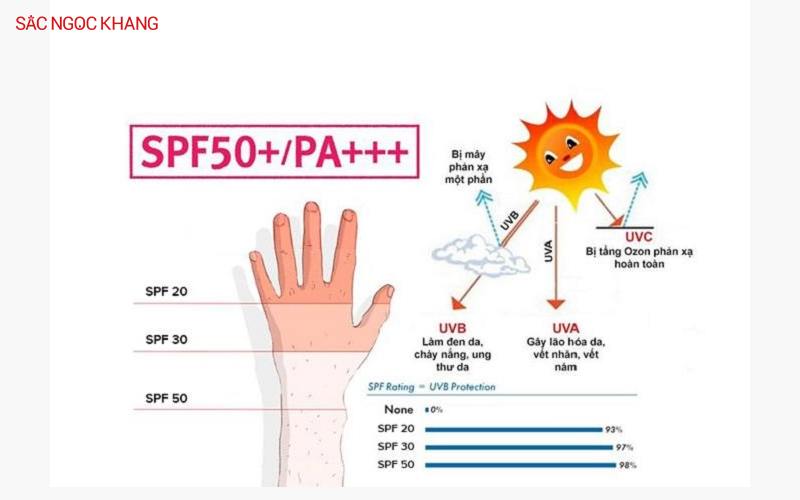 Xem xét các chỉ số SPF và PA