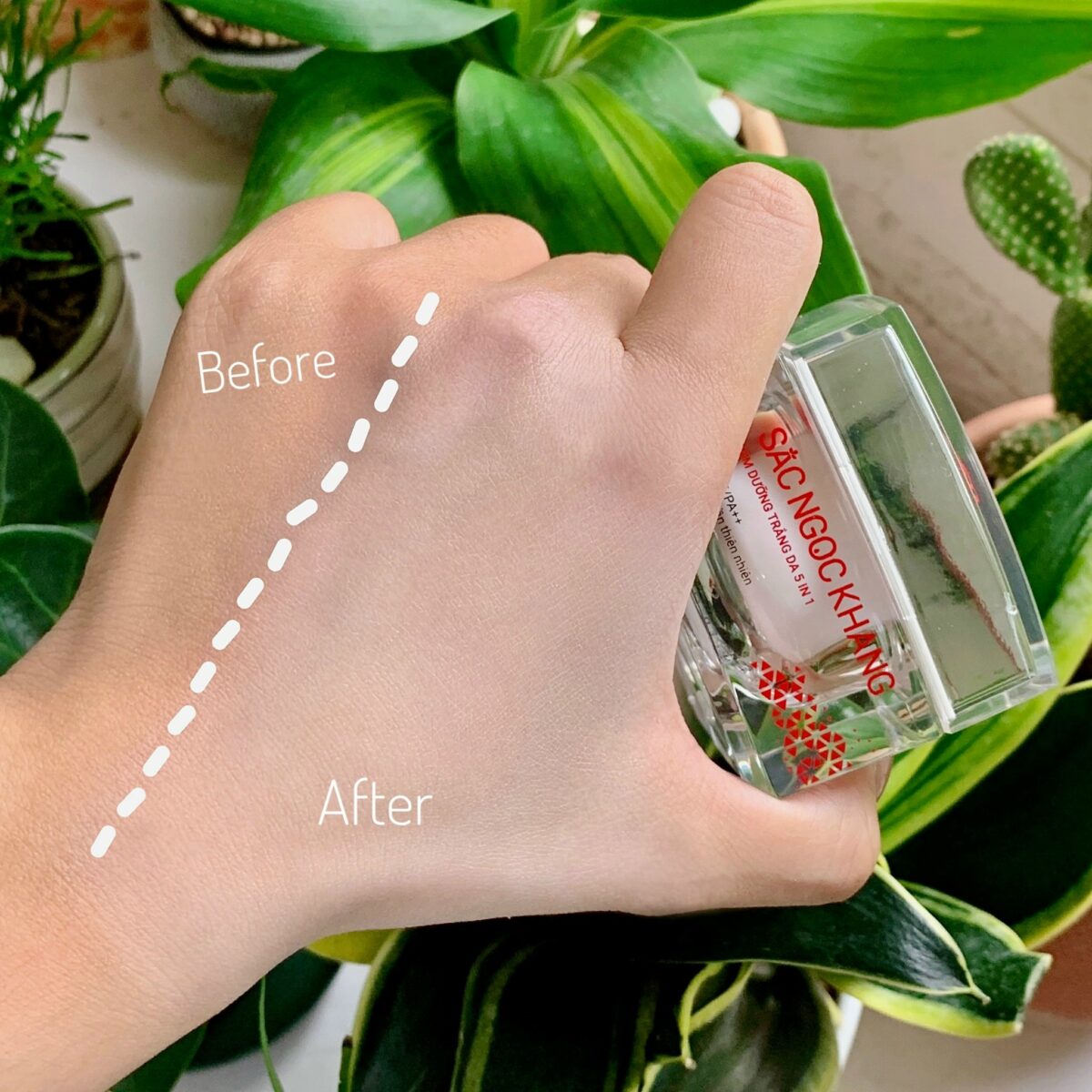 Combo Mờ Nám Dưỡng Trắng Kiềm Dầu Sắc Ngọc Khang (Kem dưỡng da ban ngày, kem dưỡng da ban đêm, kem chống nắng kiềm dầu, tặng kèm sữa dưỡng thể) - Ảnh 2