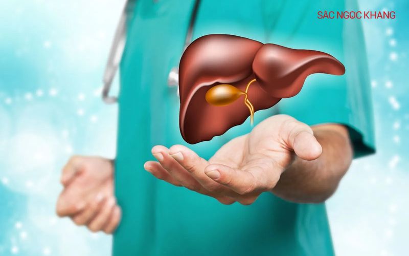 L-cystine giúp hỗ trợ giải độc gan và bảo vệ gan