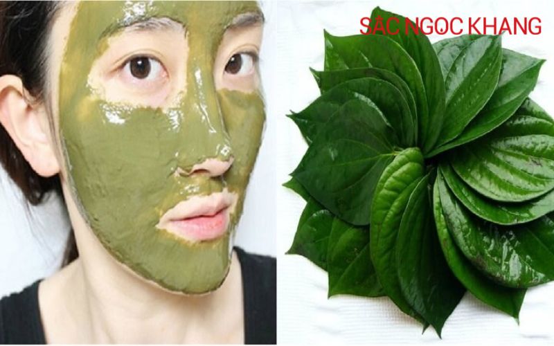 Lá trầu không có tác dụng gì với da mặt