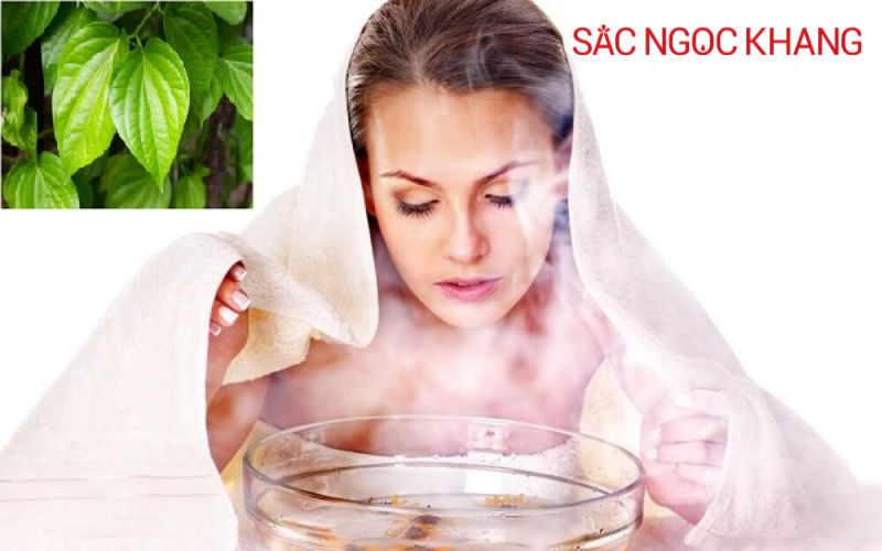 Lá trầu không có tác dụng gì với da mặt