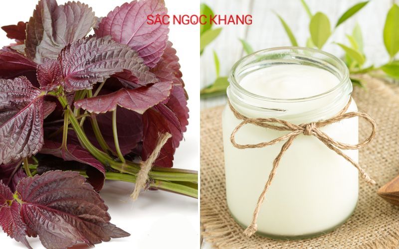 Mặt nạ lá tía tô trị nám