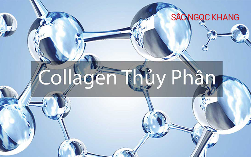 collagen thủy phân collagen thủy phân