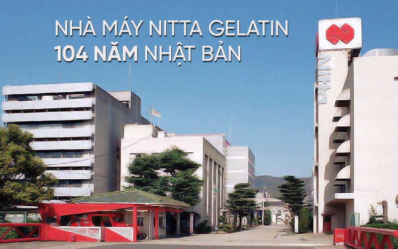nhà máy nitta gelatin nhà máy nitta gelatin