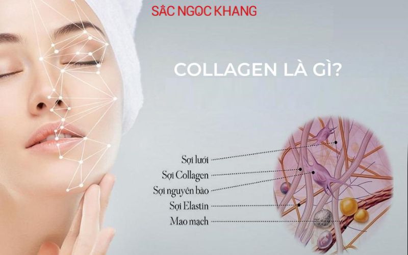uống collagen có tác dụng gì uống collagen có tác dụng gì