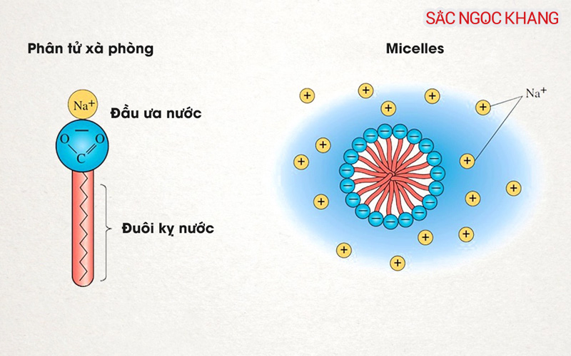 Phân tử micelle