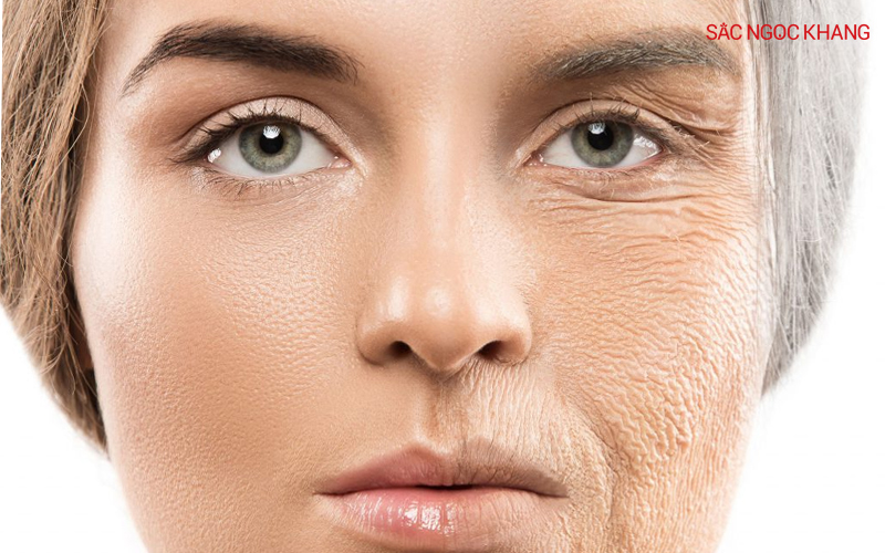 Quá trình thoái hóa collagen