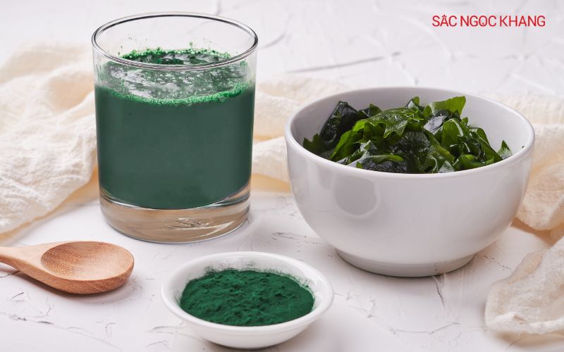 Rong biển và tảo chứa cả chứa cả DHA và EPA