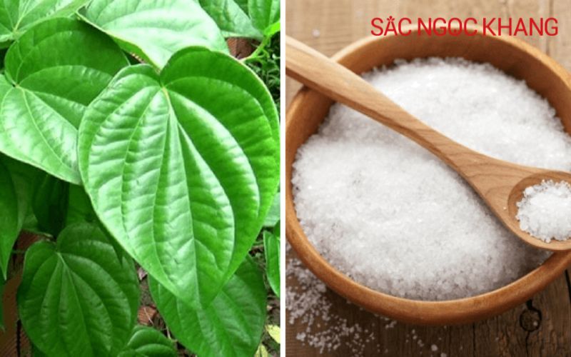 rửa vùng kín bằng lá trầu không