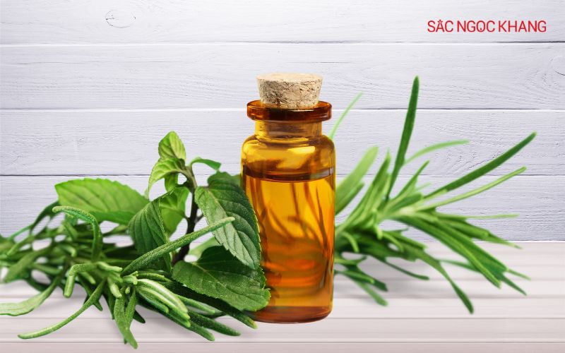 Tinh dầu tràm trà có tính kháng khuẩn, kháng viêm tự nhiên