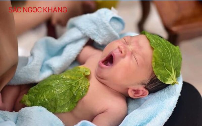 Tắm lá trầu không có tác dụng gì