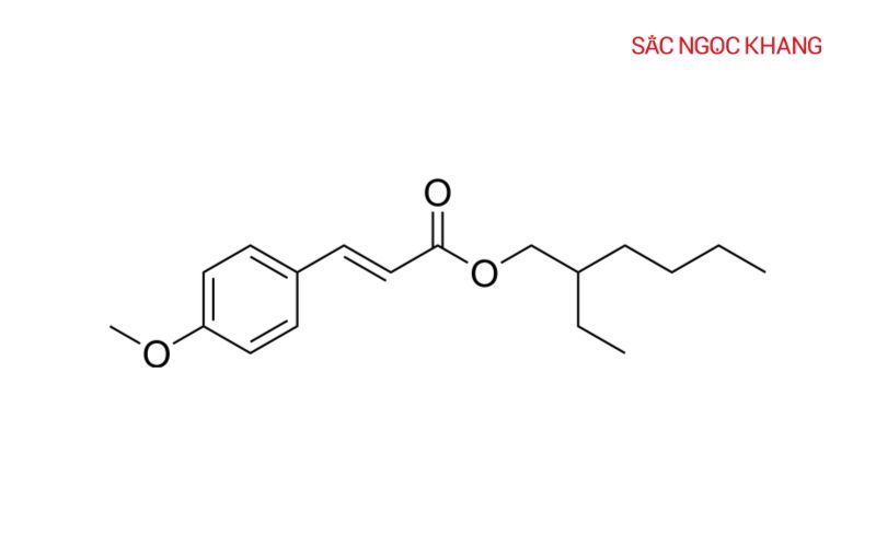 Octinoxate -Thành phần kem chống nắng