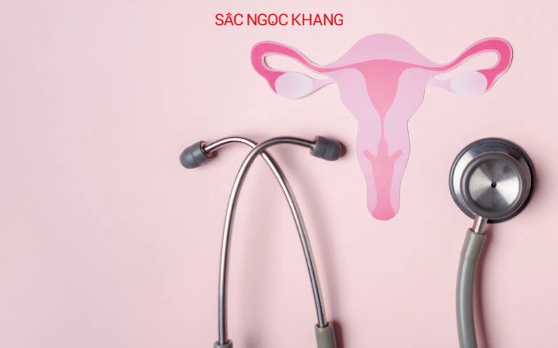Nội tiết tố đóng vai trò quan trọng nhất đối với sức khỏe sinh sản và tình dục của phụ nữ