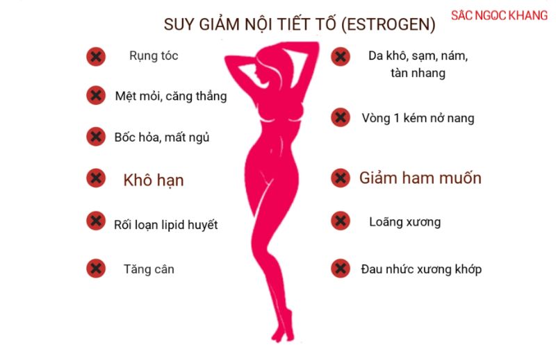 thực phẩm chức năng nội tiết tố nữ